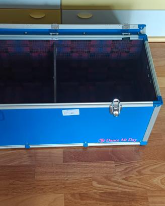 2 Bauli  Flight Case per dischi/vinili/LP