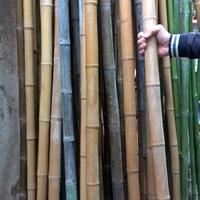 Canne di Bambù