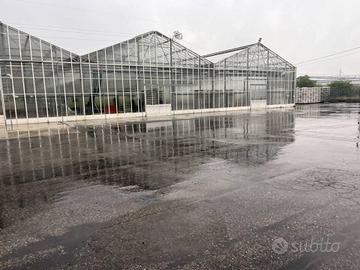 Immobile in asta di 38572 m² con più di 5 locali e