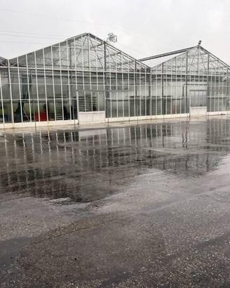 Immobile in asta di 38572 m² con più di 5 locali e