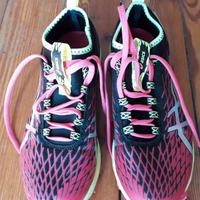 Scarpe Asics Fuji Runnegade 2