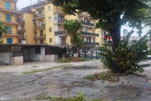 Terreno 1000mq