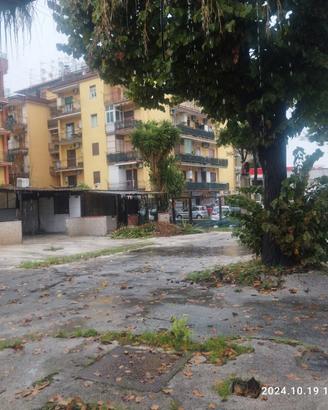 Terreno 1000mq