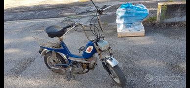 Motorino Low Billy