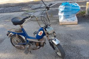 Motorino Low Billy