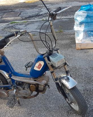 Motorino Low Billy
