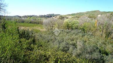 TER. AGRICOLO A MONTECORVINO ROVELLA