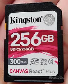 KingstonCanvas React Plus

SDXC, U3, UHS-II/256gb