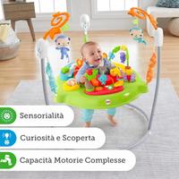 Centro attività Fisher-Price molle giocattolo 0+