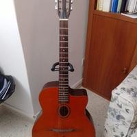 Chitarra acustica Privada