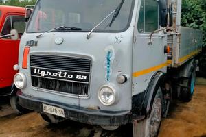 Om tigrotto 55 ribaltabile