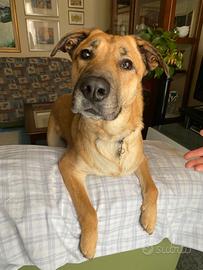 Una nuova famiglia per Carmen