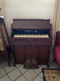 Raro Armonium Antico Hofberg-Orgel – Funzionante