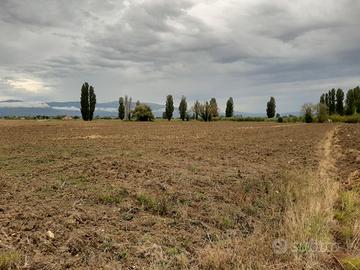 Terreno agricolo 2.5 ettari