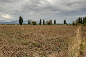Terreno agricolo 2.5 ettari