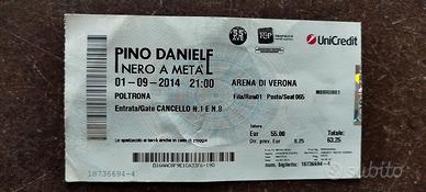 ticket concerto Pino Daniele Arena di Verona 