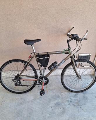 Bicicletta