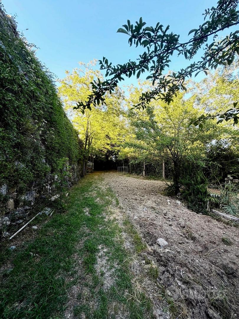 Terreno 4400 Mq con pozzo -Poggibonsi calcinaia - Vista 5