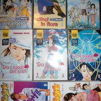 MANGA HOJO MINISERIE COMPLETE