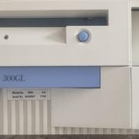 PC IBM 300 GL Vintage