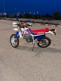 HONDA XR 600 R 
