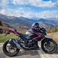 Kawasaki Z 300 - 2015