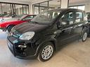 fiat-panda-1-0-firefly-s-s-hybrid