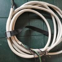 Cavo da 6 metri  a 12 fili
