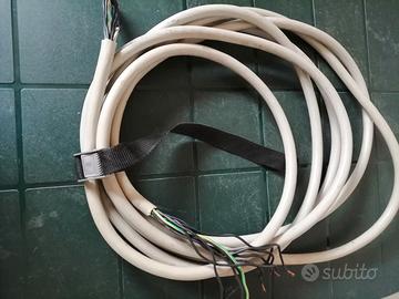 Cavo da 6 metri  a 12 fili