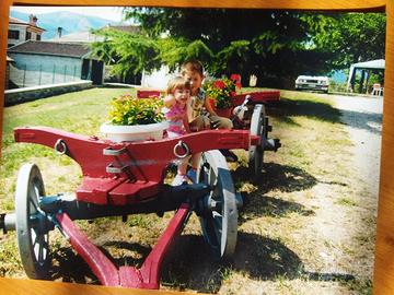 carro d epoca aratro e biroccio per cavallino