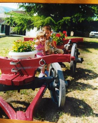 carro d epoca aratro e biroccio per cavallino