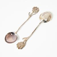 set di 12 cucchiaini in argento prodotti dalla pre