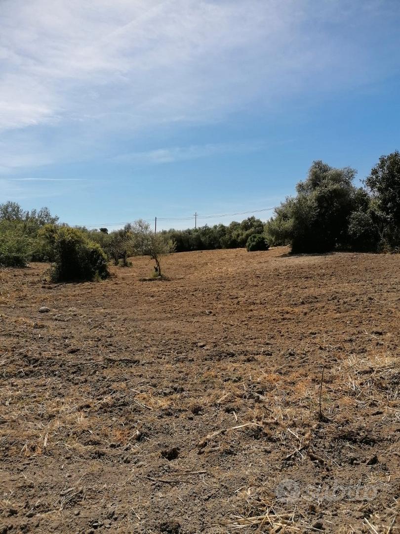 Terreno agro a Sorso - Vista 3