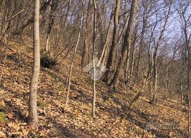 TER. AGRICOLO A MANOCALZATI