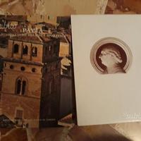 Pavia. architetture dell'eta' sforzesca