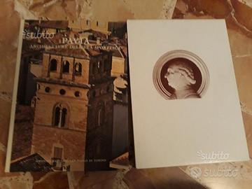 Pavia. architetture dell'eta' sforzesca