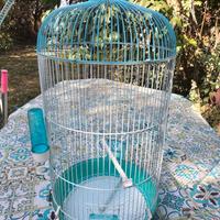 gabbia uccelli 