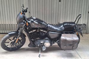 HD 883 Iron 2016