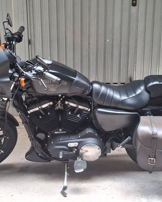 HD 883 Iron 2016