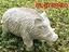 Immagine 26