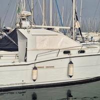 Zaniboni F275 bluetime