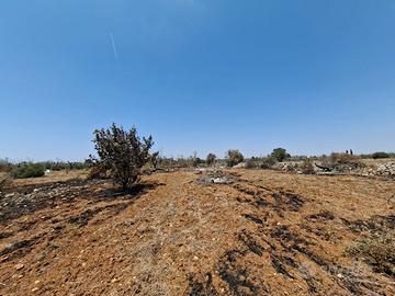 TERRENO su PRESICCE LIDO MARINI con 2 casali