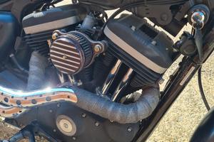 iron 883