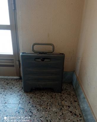 carrellino per auto trasporto oggetti