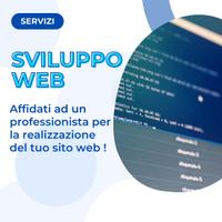 Sviluppatore web - consulente it