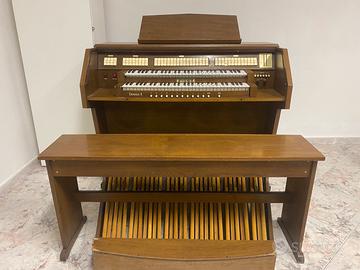 Organo Elettrico Viscount Domus 8