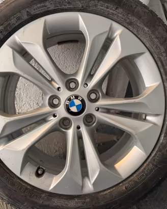 Gomma con cerchio 225/50 R17