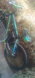 Mountain bike 26