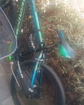 Mountain bike 26