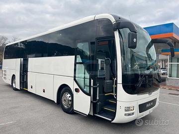 Man Lion's Coach